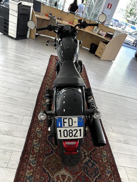 Harley-Davidson Nightster (2023 - 25) (5)