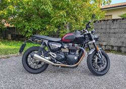 Triumph Speed Twin 1200 Stealth Edition (2024) usata