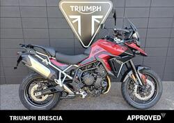 Triumph Tiger 900 GT Pro (2024 - 25) usata