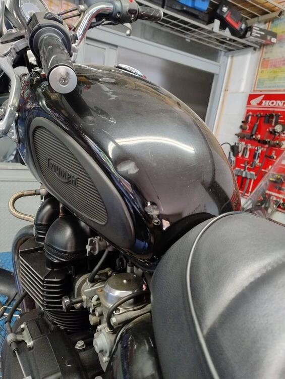 Triumph Bonneville 800 (2002 - 07) (4)