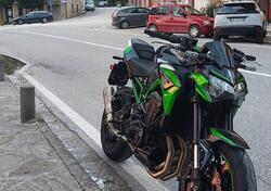 Kawasaki Z 900 A2 (2021 - 24) usata