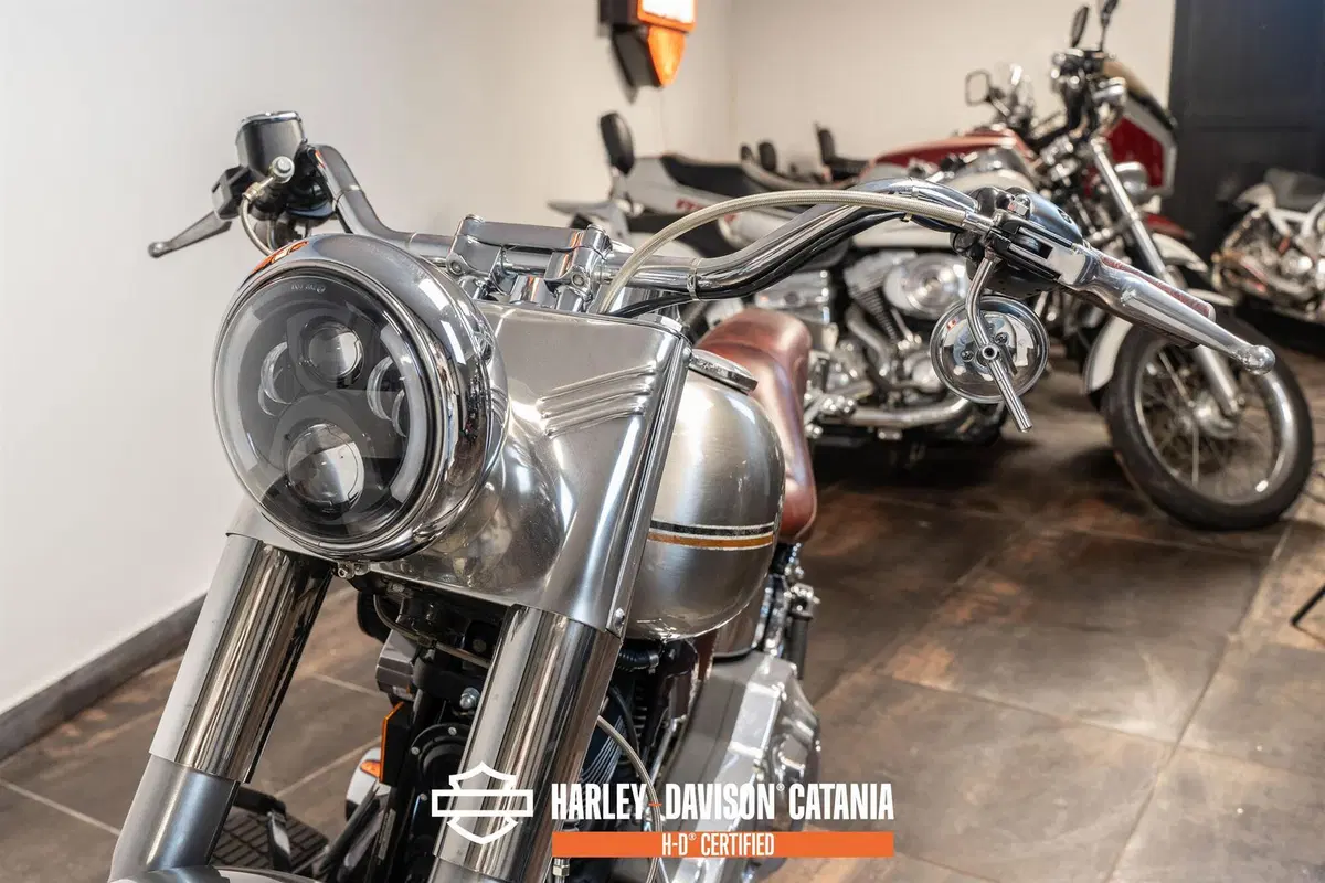 Harley-Davidson 1340 Bad Boy (1995 - 99) (5)