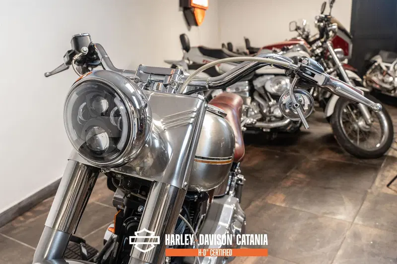 Harley-Davidson 1340 Bad Boy (1995 - 99) (5)
