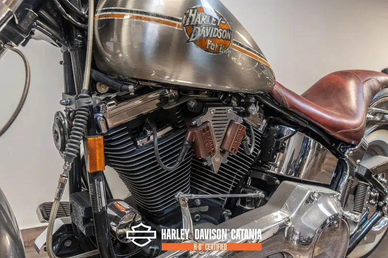 Harley-Davidson 1340 Bad Boy (1995 - 99) (6)