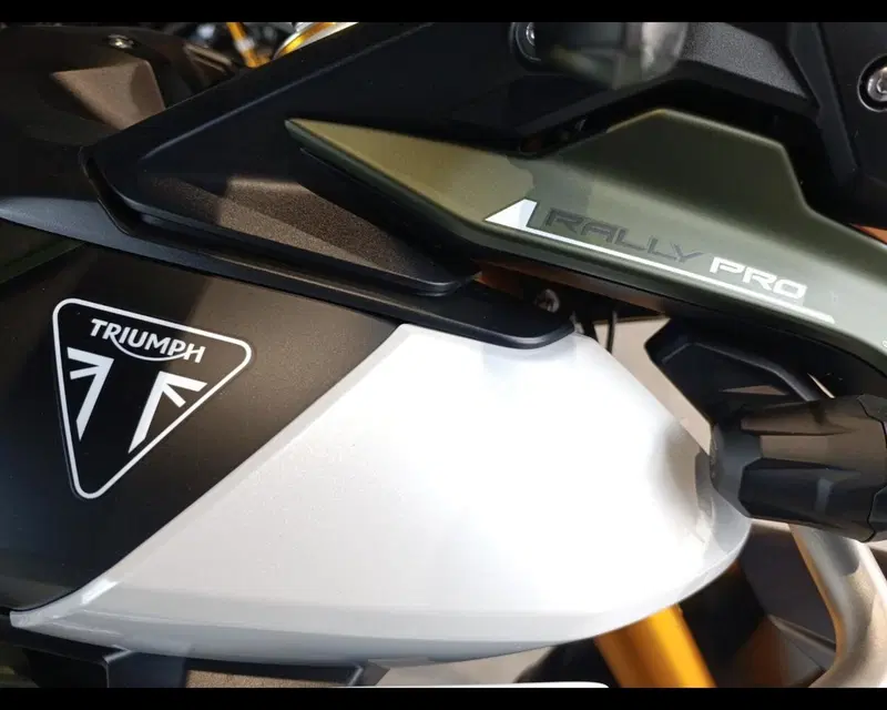 Triumph Tiger 900 Rally Pro (2024 - 26) (13)