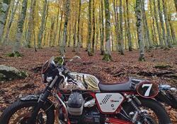 Moto Guzzi V7 Racer (2012 - 14) usata