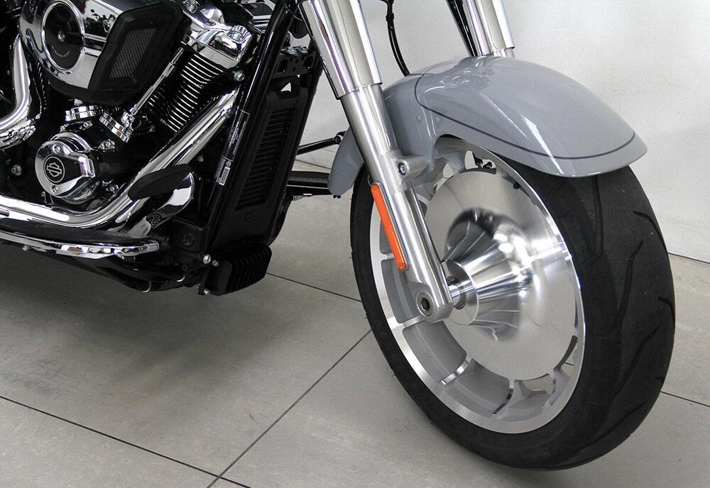 Harley-Davidson Fat Boy 117 (2025) (2)