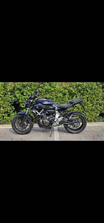 Yamaha MT-07 (2014 - 16) (2)