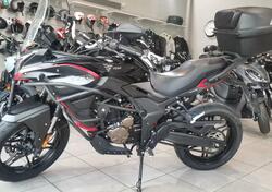 Voge Valico 300DS (2021 - 24) usata