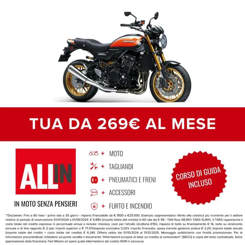 Kawasaki Z 900 RS SE (2022 - 25) (2)