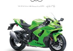 Kawasaki Ninja 1000 ZX-10RR (2025) nuova