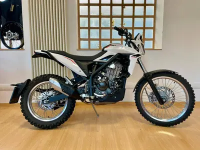 Betamotor Alp 4.0 (2024 - 26) usata