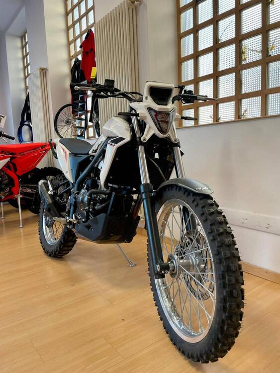 Betamotor Alp 4.0 (2024 - 25) (4)