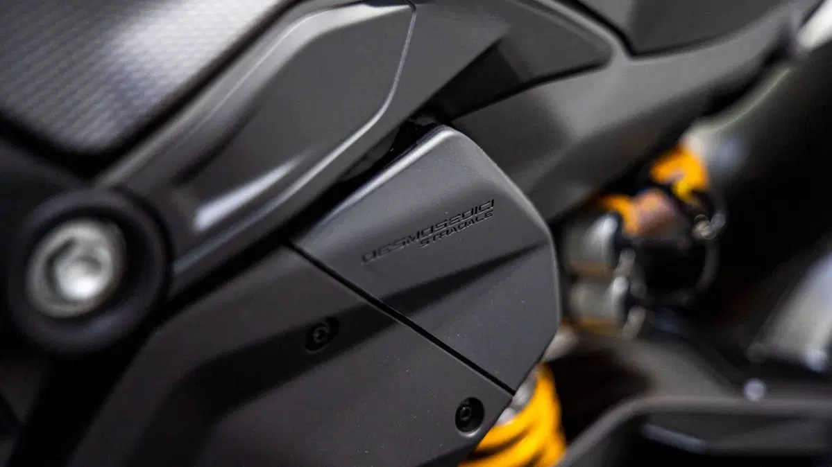 Ducati Panigale V4 Tricolore (2025 - 26) (18)