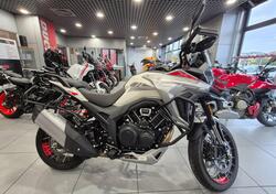 Morbidelli T1002VX (2024 - 25) usata