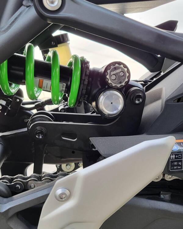 Kawasaki Ninja ZX-4RR (2024 - 26) (4)