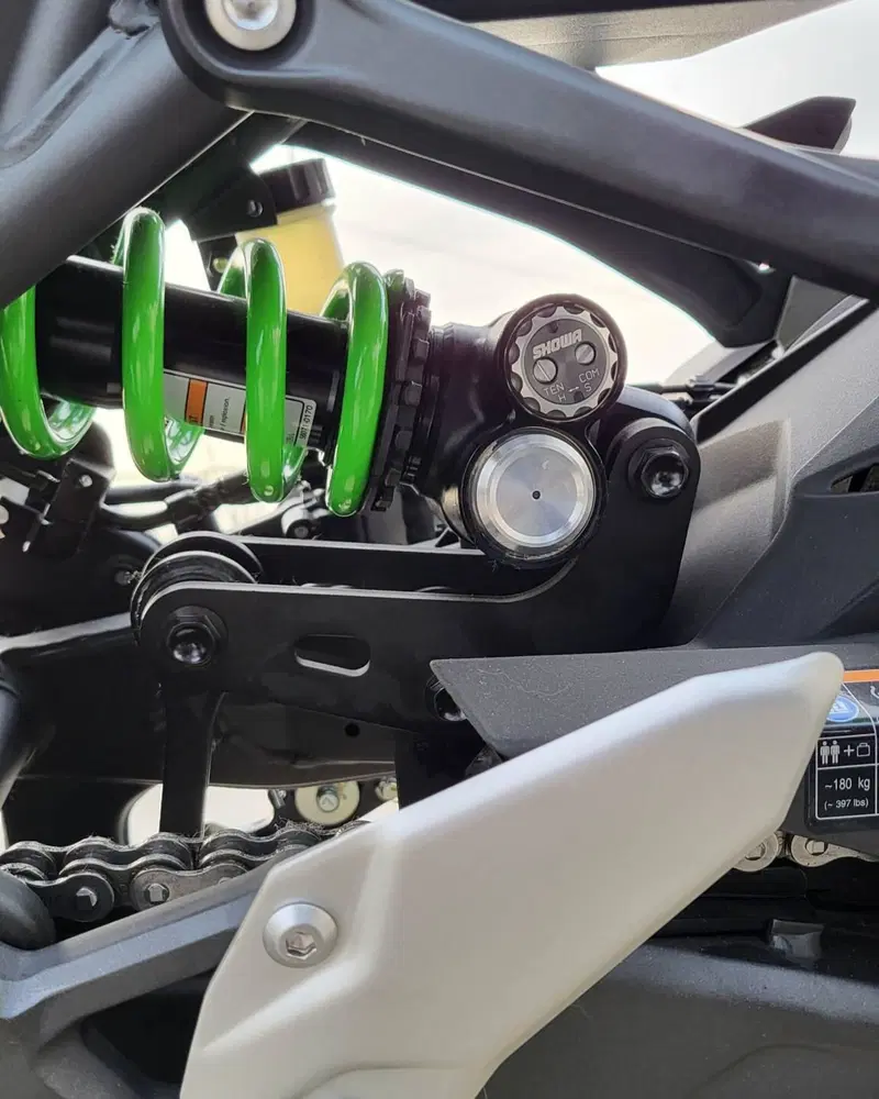 Kawasaki Ninja ZX-4RR (2024 - 26) (8)