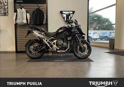 Triumph Tiger 1200 GT Pro (2024 - 25) usata
