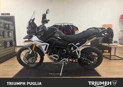 Triumph Tiger 900 Rally Pro (2024 - 25) usata
