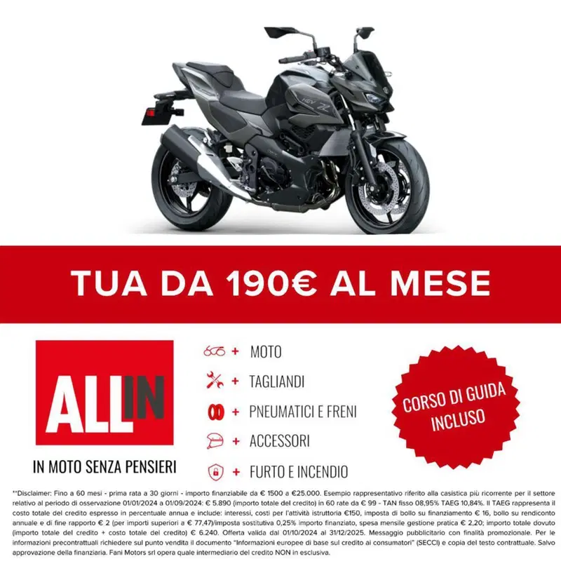 Kawasaki Z7 Hybrid (2024 - 26) (2)