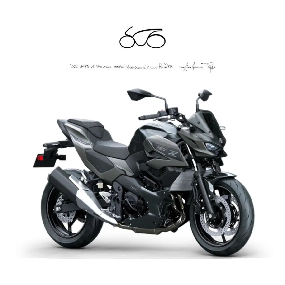 Kawasaki Z7 Hybrid (2024 - 26)
