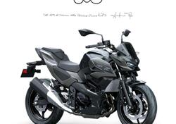 Kawasaki Z7 Hybrid (2024 - 25) nuova