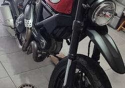 Ducati Scrambler 800 Icon (2017 - 20) usata