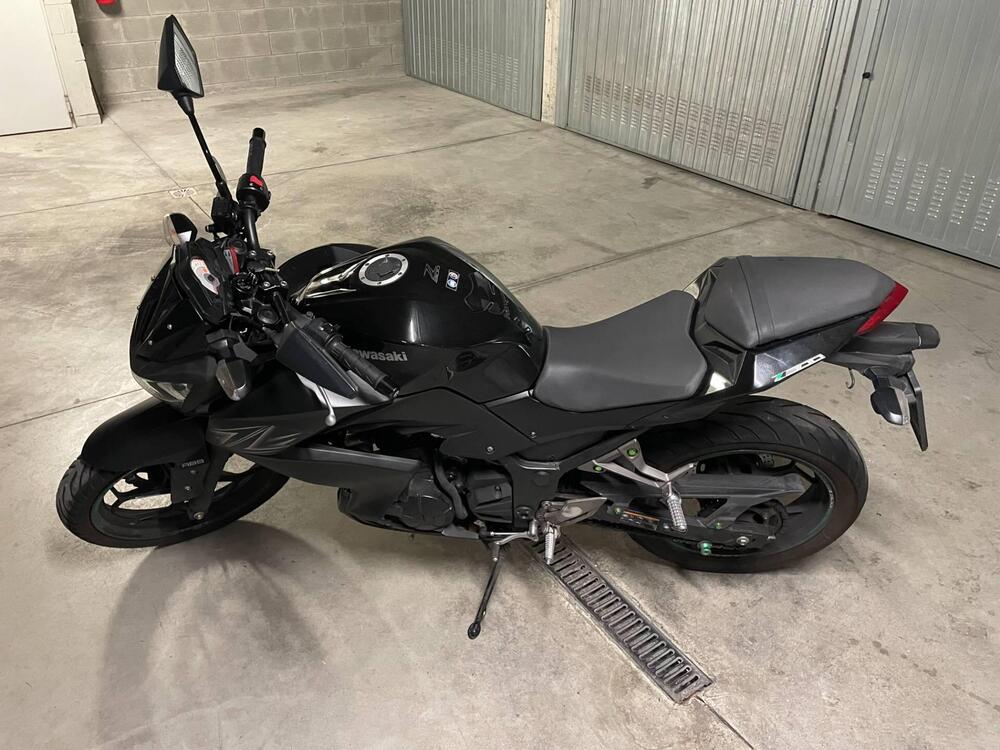 Kawasaki Z 300 ABS (2015 - 16) (2)