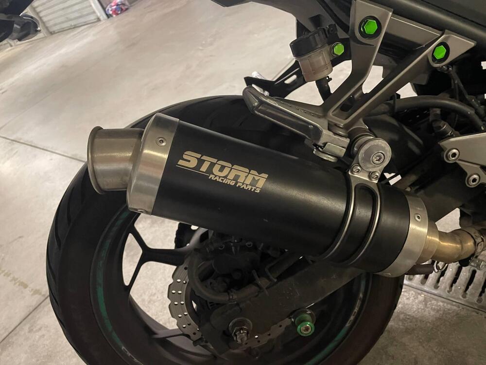 Kawasaki Z 300 ABS (2015 - 16) (5)