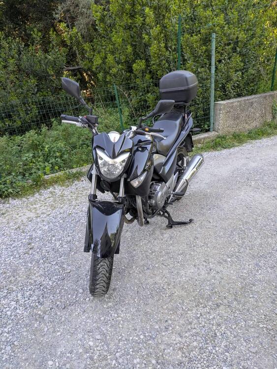 Suzuki Inazuma 250 Plus (2012 - 16)