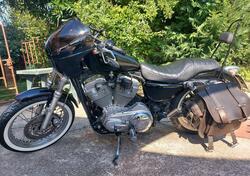 Harley-Davidson 883 Low (2005) - XL 883L usata