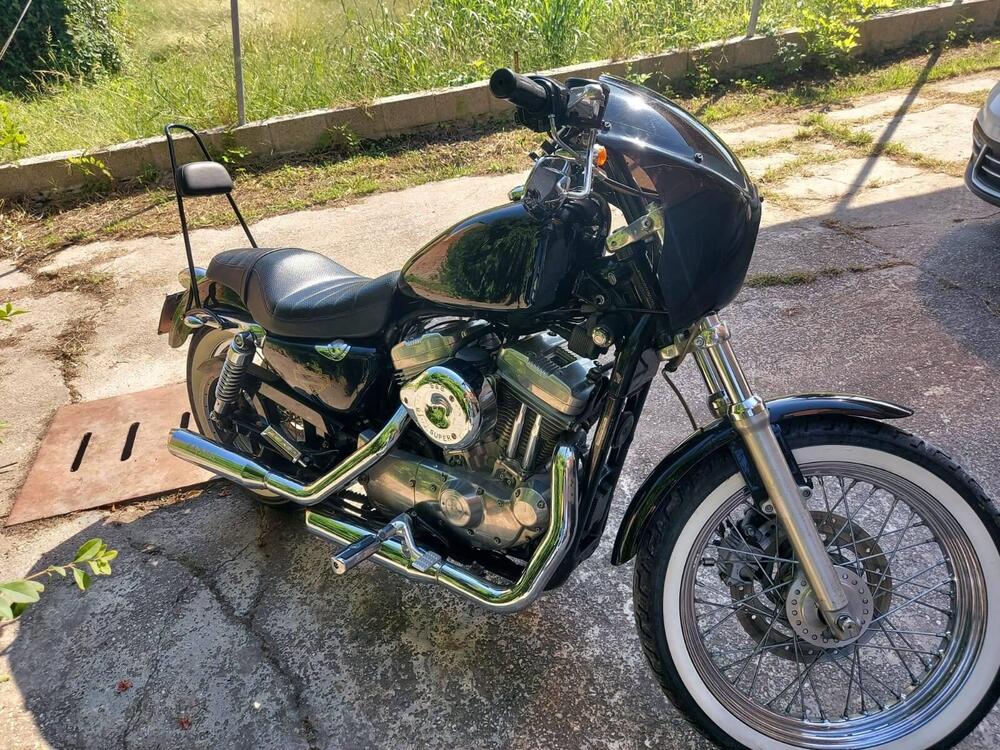 Harley-Davidson 883 Low (2005) - XL 883L (4)