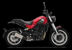 Benelli Leoncino 500 Trail (2021 - 25) nuova