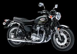 Kawasaki W 800 (2021 - 25) nuova