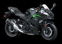 Kawasaki Ninja 500 (2024 - 26) nuova