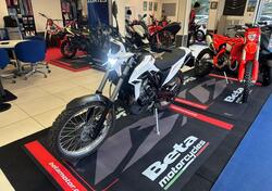 Betamotor Alp 4.0 (2024 - 25) nuova