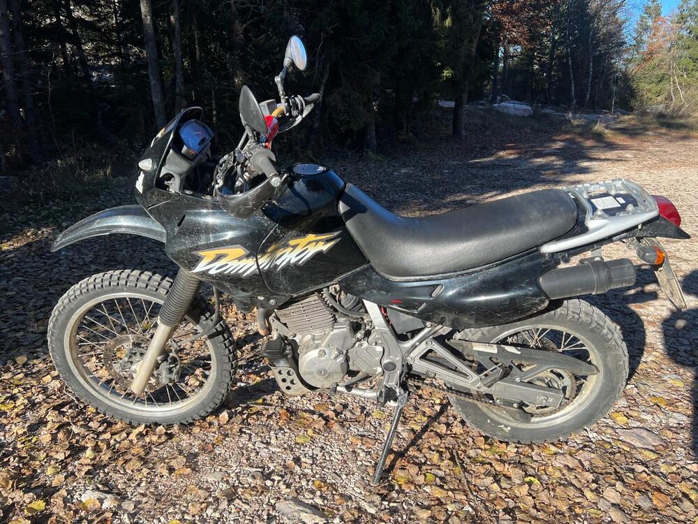 Honda NX 650 Dominator (1996 - 02) (4)