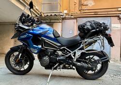 Triumph Tiger 1200 GT Pro (2022 - 23) usata