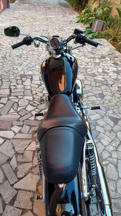 Harley-Davidson 1200 Custom ABS (2014 - 16) - XL 1200C (5)