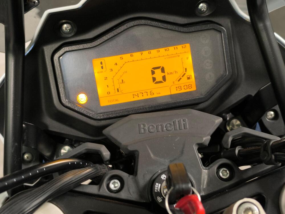 Benelli TRK 251 (2019 - 20) (3)