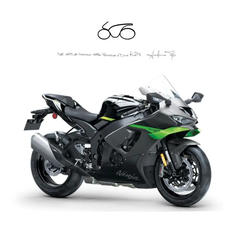 Kawasaki Ninja 1000 ZX-10R (2021 - 25)