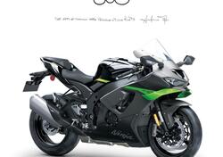 Kawasaki Ninja 1000 ZX-10R (2021 - 25) nuova