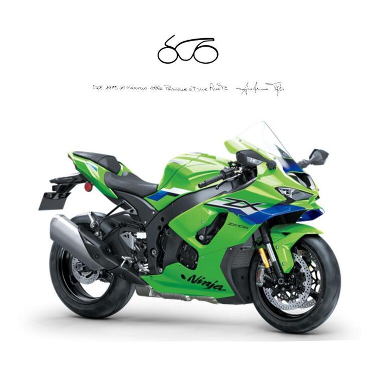 Kawasaki Ninja 1000 ZX-10R (2021 - 25)