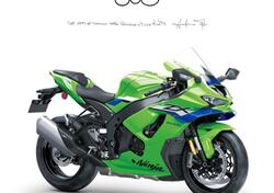 Kawasaki Ninja 1000 ZX-10R (2021 - 25) nuova