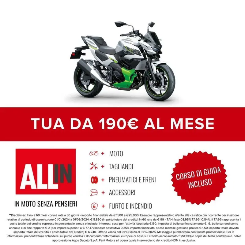 Kawasaki Z7 Hybrid (2024 - 26) (2)