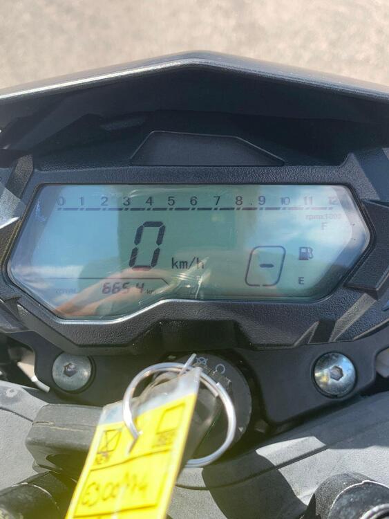 Benelli BN 125 (2026) (2)