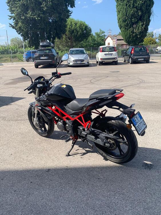 Benelli BN 125 (2026) (4)