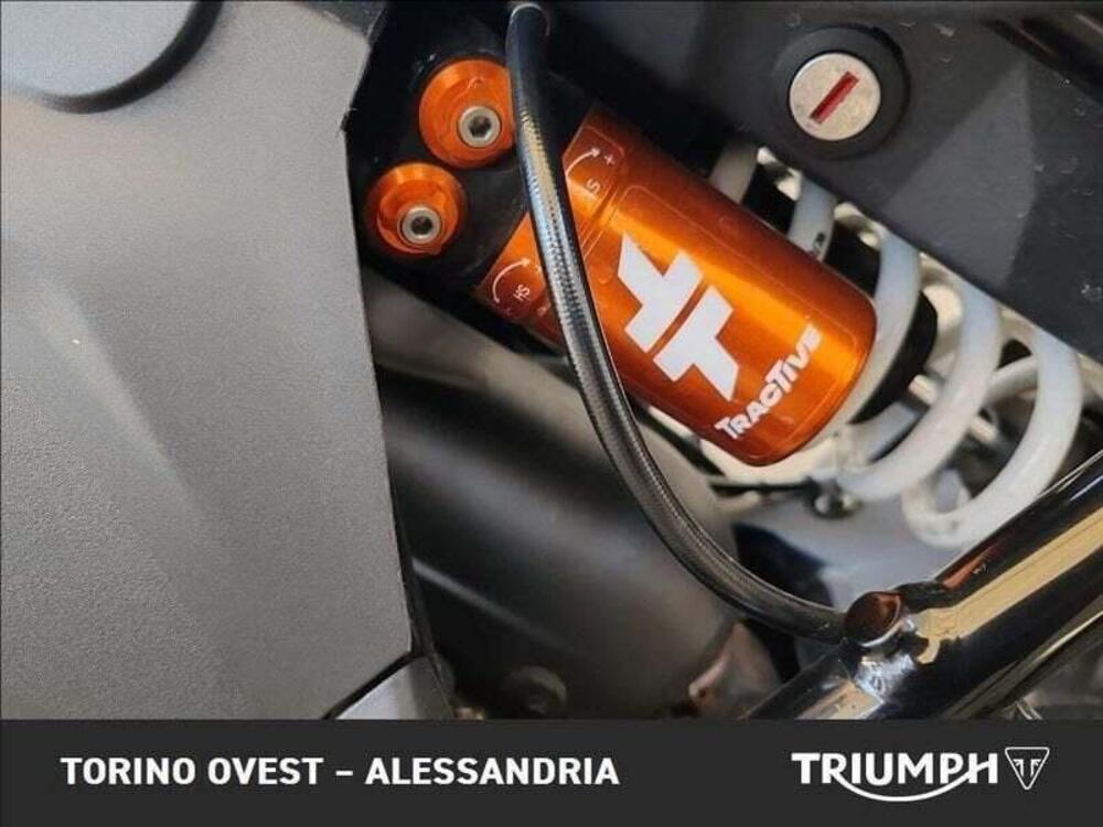 Ducati DesertX (2022 - 25) (4)