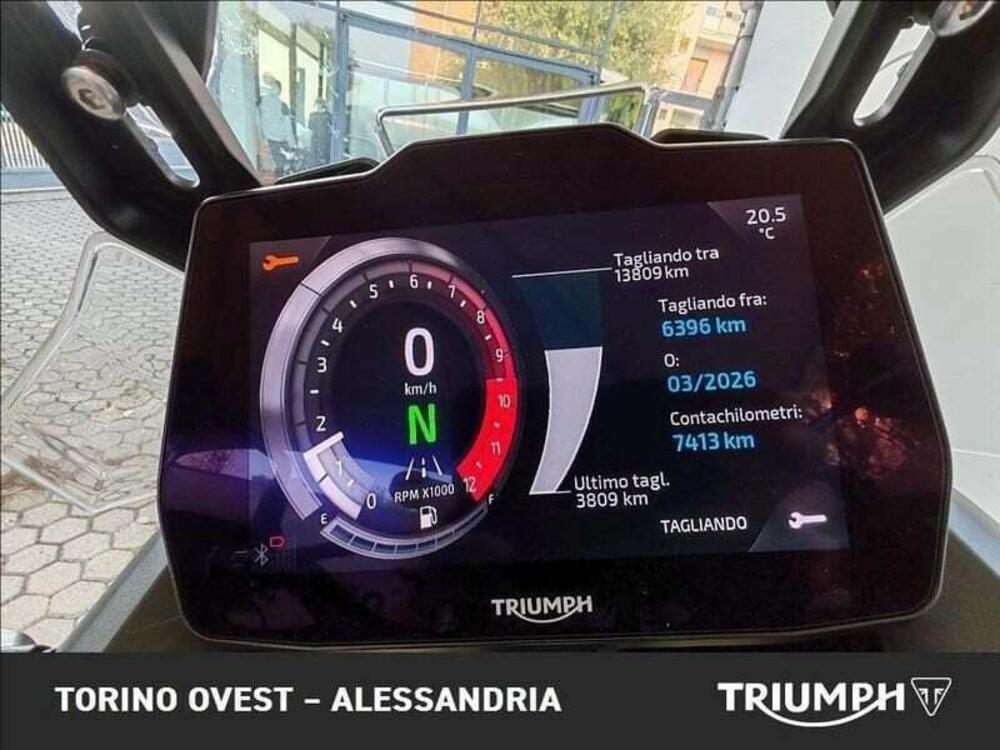 Triumph Tiger 900 Rally Pro (2020 - 23) (4)