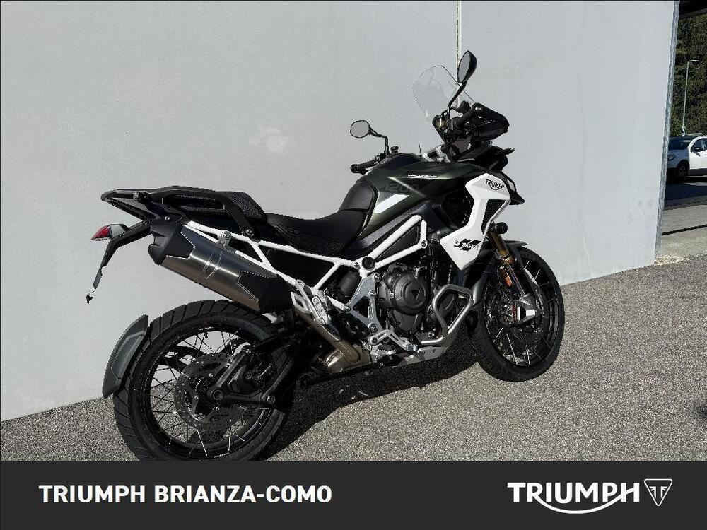 Triumph Tiger 1200 Rally Pro (2024 - 25) (3)